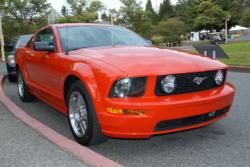 User Photo