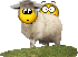 Attached Image