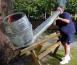 Attached Image
